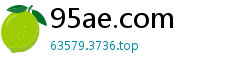 95ae.com